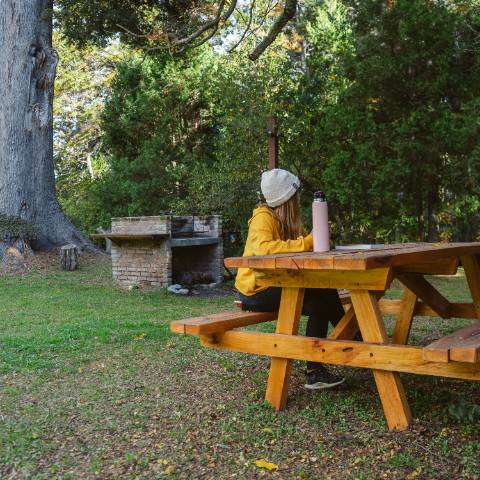 Parrilla y Parque arbolado de 5800 m2 con coihues y cipreses en Pichi Rincón